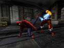 spider3.jpg