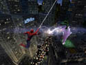 spider4.jpg