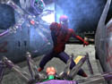 spider5.jpg
